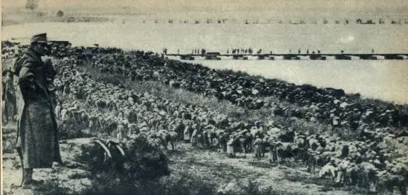 Illustration ur Världen i brand. En bokfilm över det stora kriget 1914-1918 (1935), sida 103