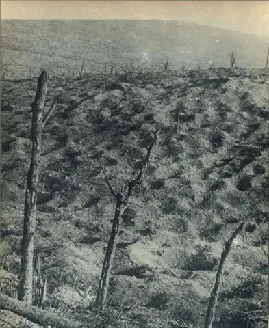 Illustration ur Världen i brand. En bokfilm över det stora kriget 1914-1918 (1935), sida 114