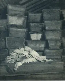 Illustration, sida 169