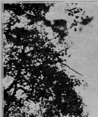 Illustration ur En bok om Sverige (1893), sida 265