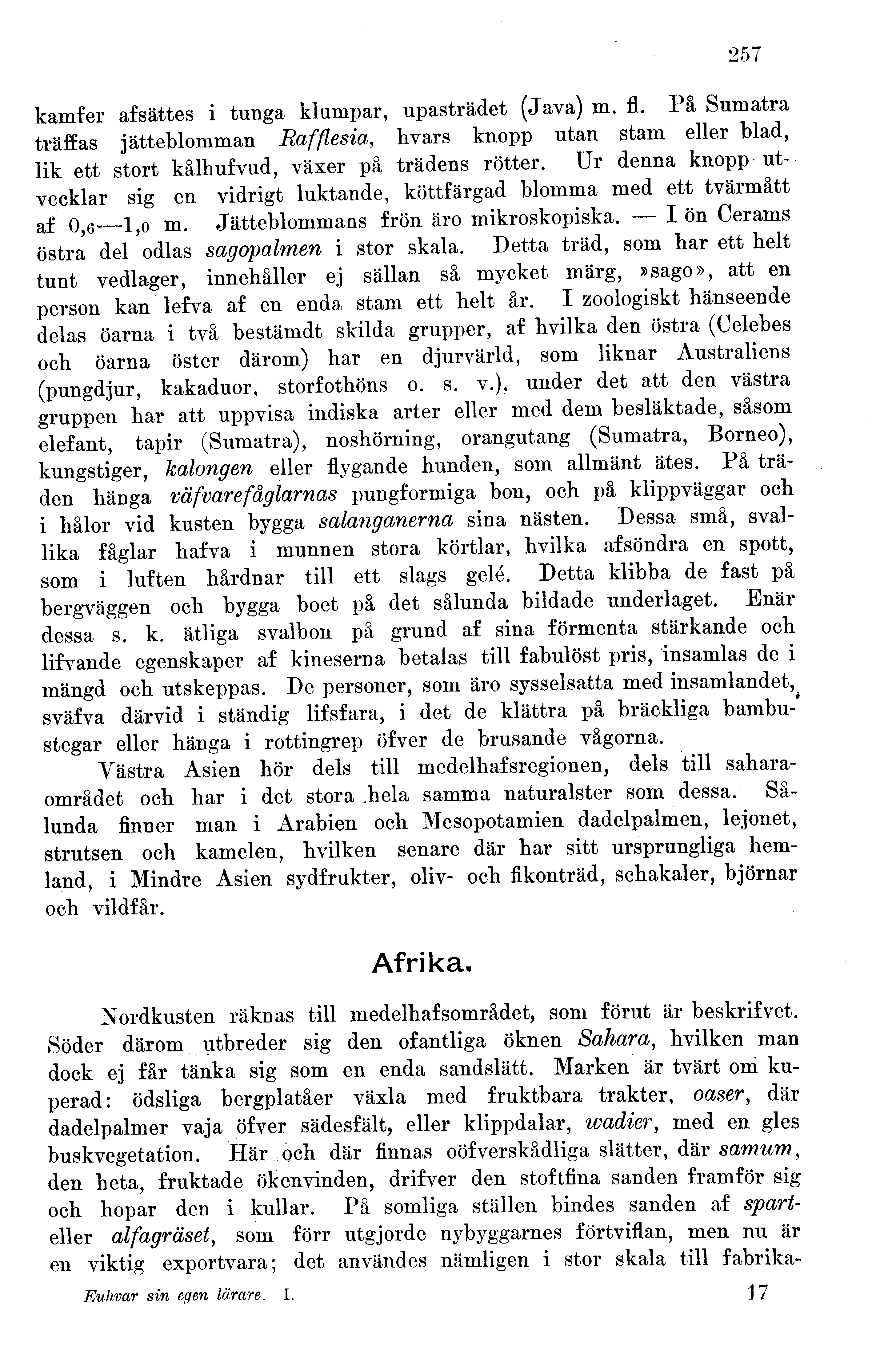 Skannad sida 265