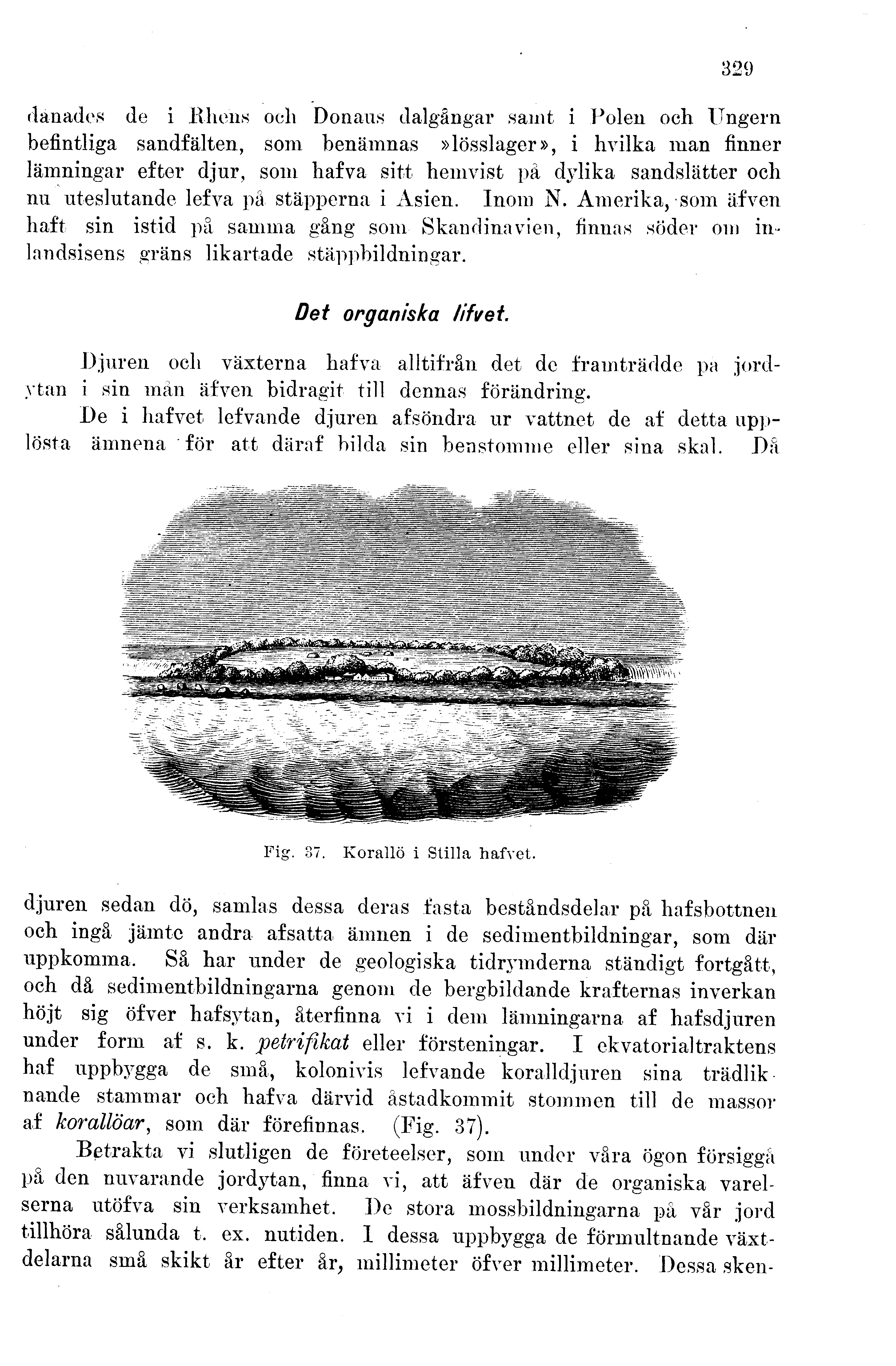 Skannad sida 337