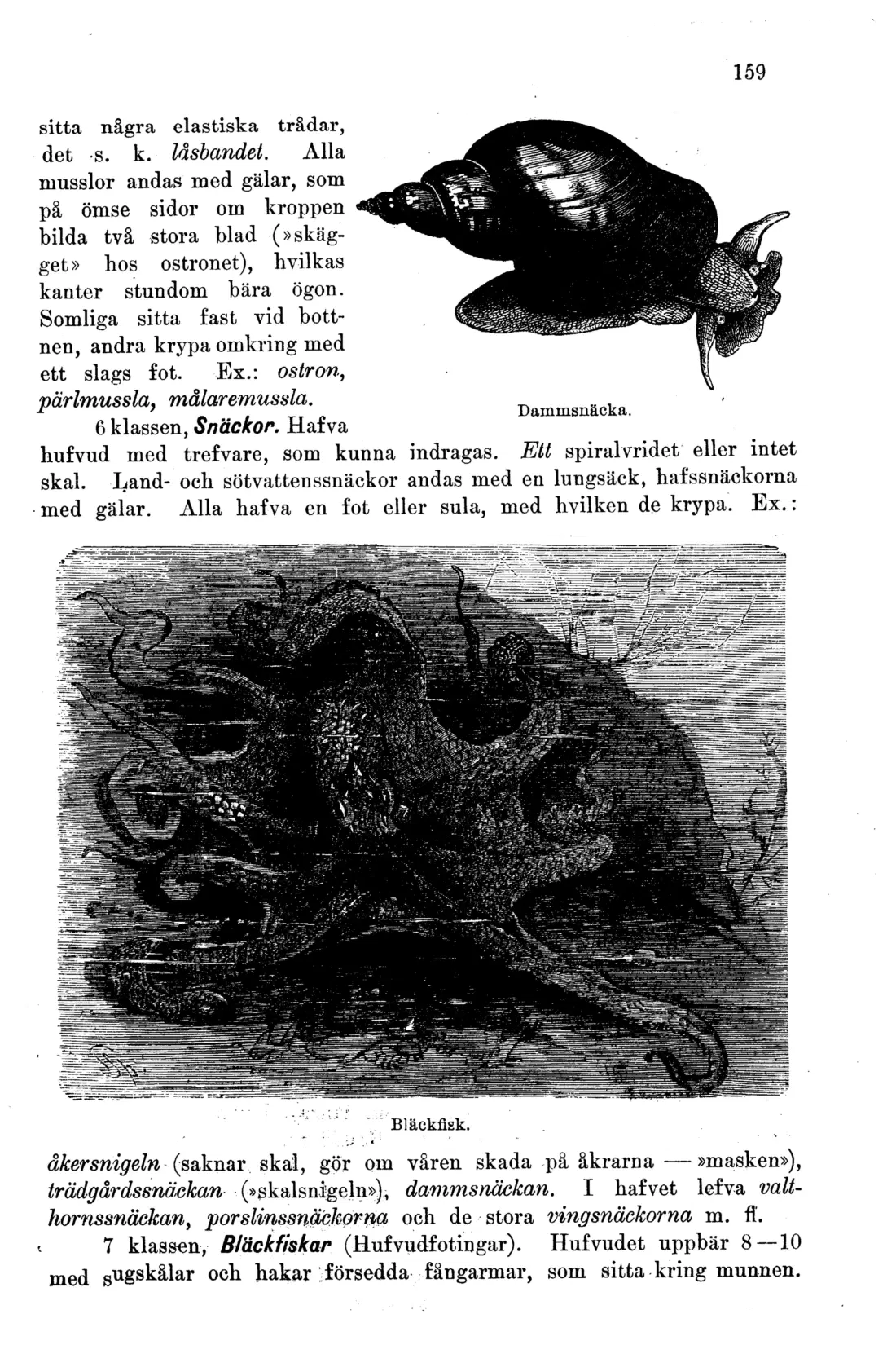 Originalsida 159