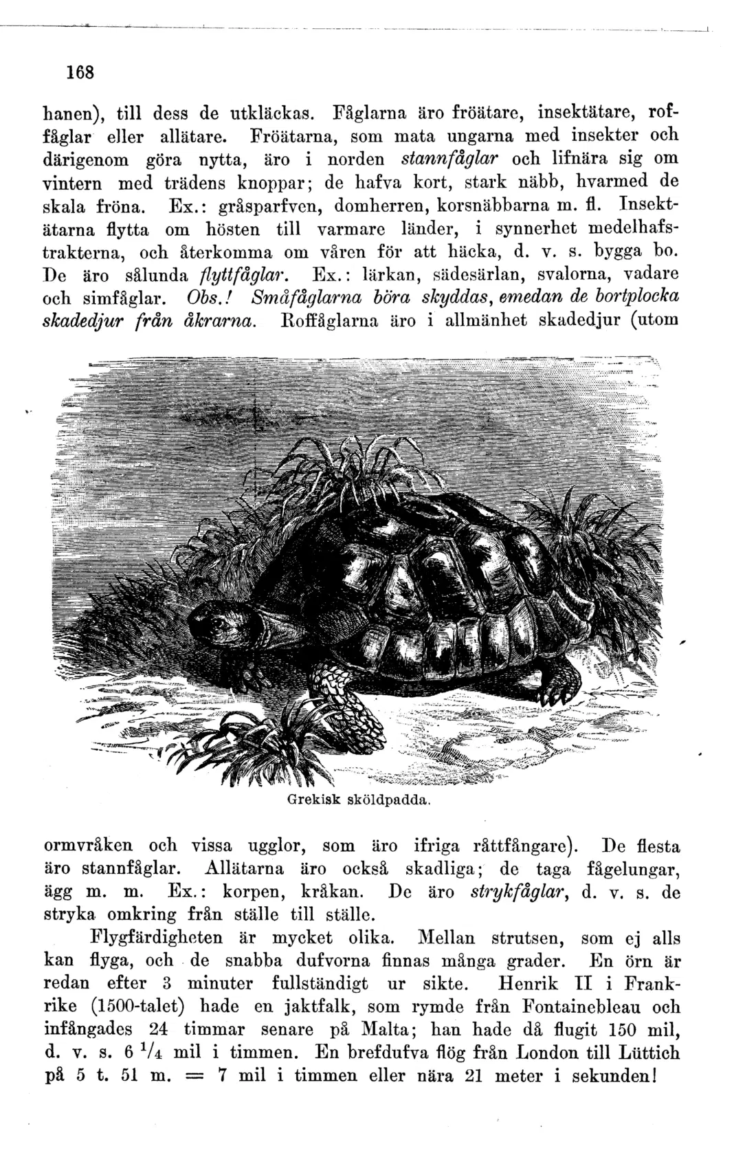 Originalsida 168