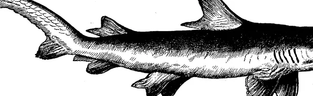 Illustration ur Enhvar sin egen lärare. (1893), sida 164