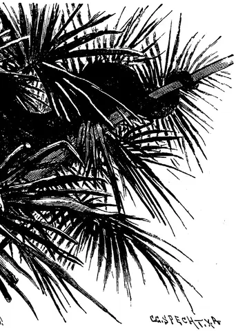 Illustration ur Enhvar sin egen lärare. (1893), sida 166
