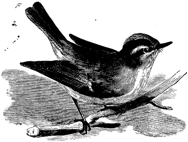 Illustration ur Enhvar sin egen lärare. (1893), sida 176