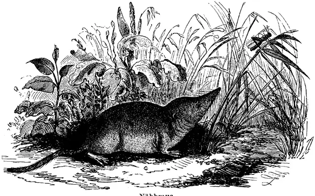 Illustration ur Enhvar sin egen lärare. (1893), sida 183