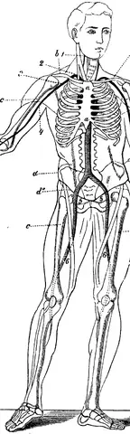 Illustration ur Enhvar sin egen lärare. (1893), sida 188