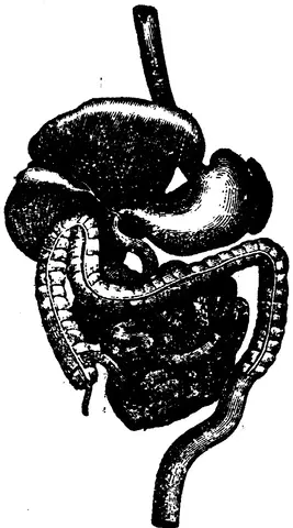 Illustration ur Enhvar sin egen lärare. (1893), sida 190