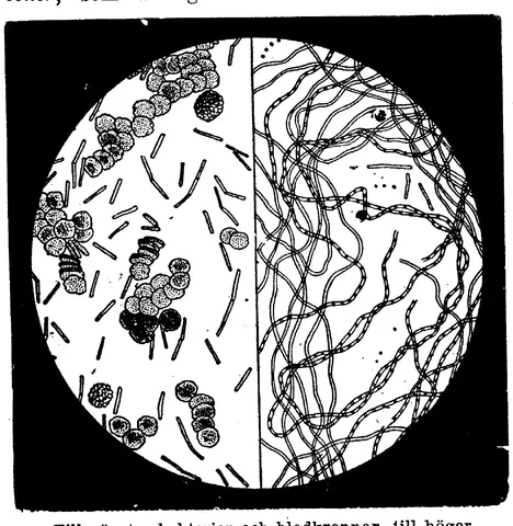 Illustration ur Enhvar sin egen lärare. (1893), sida 198