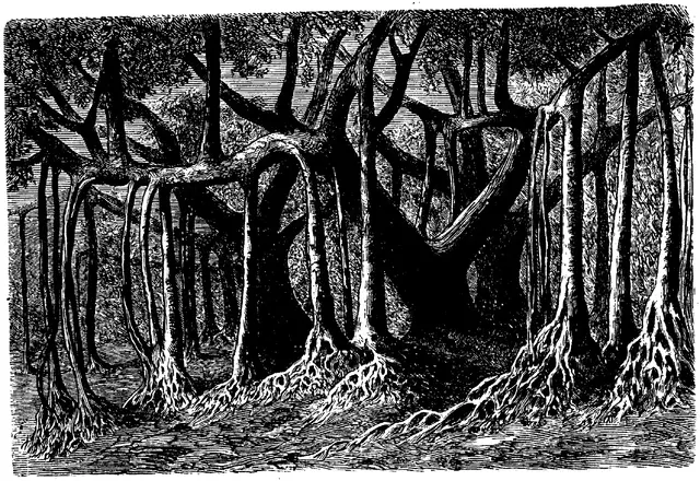 Illustration ur Enhvar sin egen lärare. (1893), sida 209