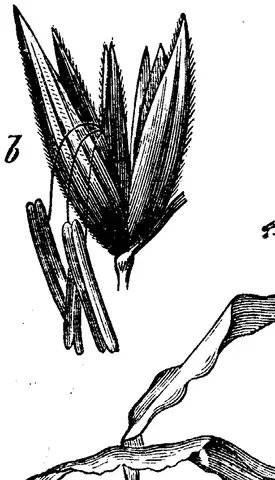 Illustration, sida 220