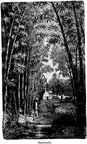Illustration ur Enhvar sin egen lärare. (1893), sida 221