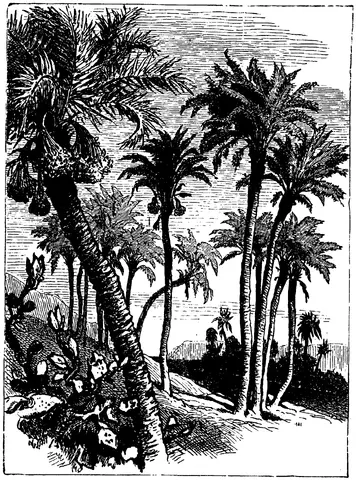 Illustration, sida 222