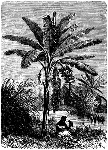 Illustration, sida 224