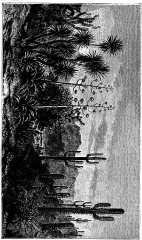 Illustration, sida 238