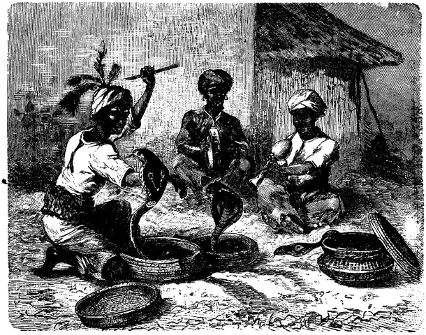 Illustration ur Enhvar sin egen lärare. (1893), sida 256