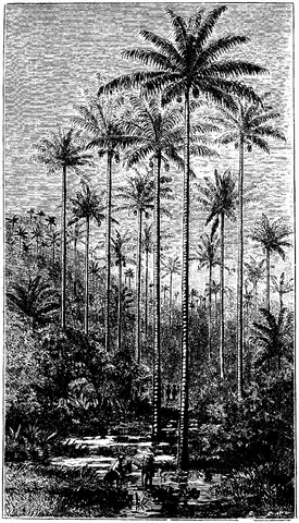 Illustration, sida 265