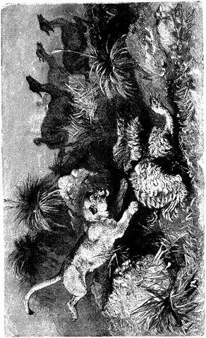 Illustration, sida 269