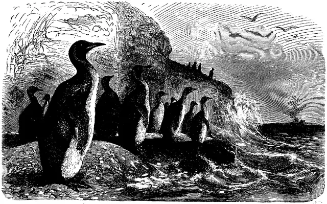 Illustration, sida 274