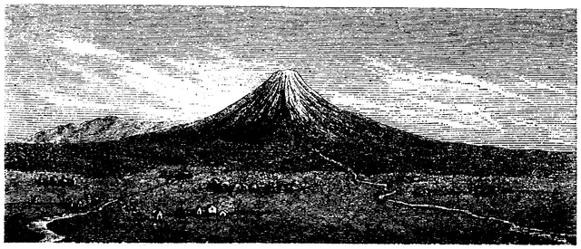 Illustration, sida 295