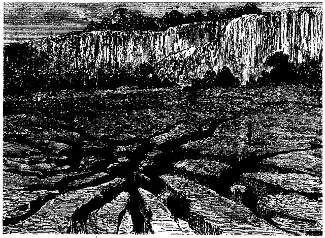 Illustration, sida 300