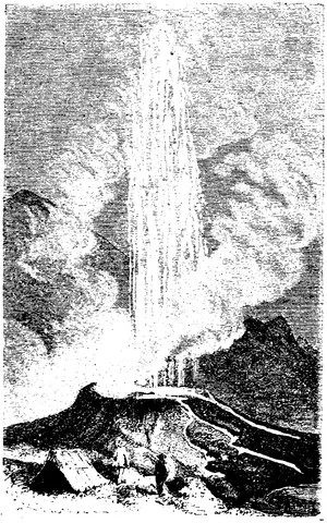 Illustration, sida 305