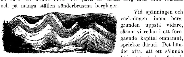 Illustration, sida 309
