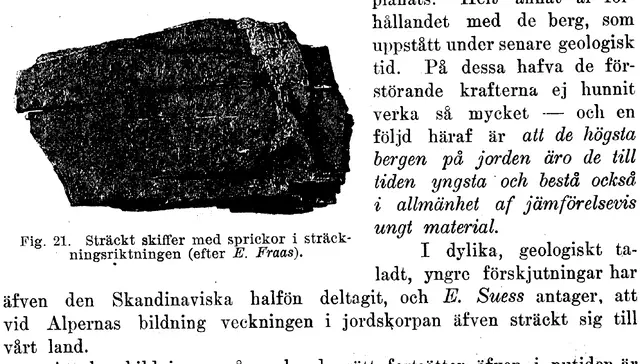 Illustration, sida 310