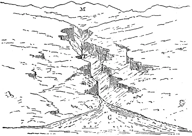 Illustration, sida 314
