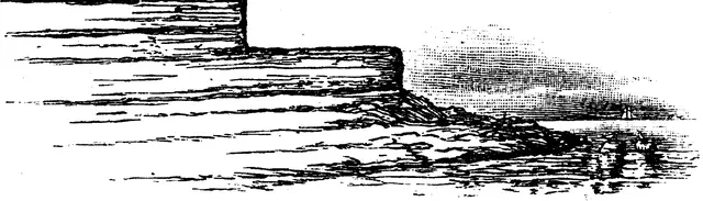 Illustration, sida 316
