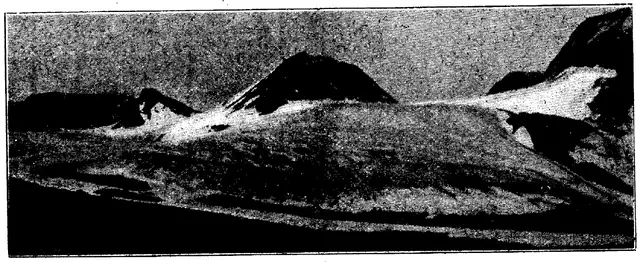 Illustration, sida 320