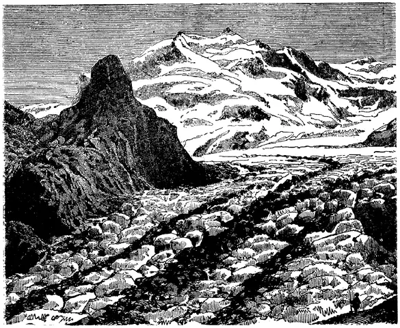 Illustration, sida 321