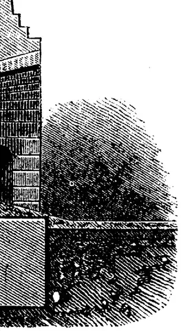 Illustration, sida 346