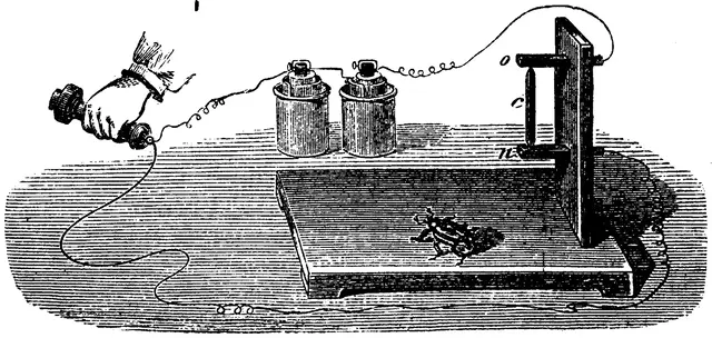 Illustration, sida 416