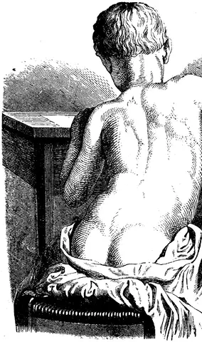 Illustration, sida 504