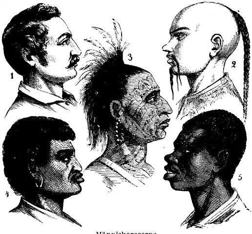 Illustration, sida 602