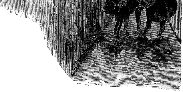 Illustration, sida 681