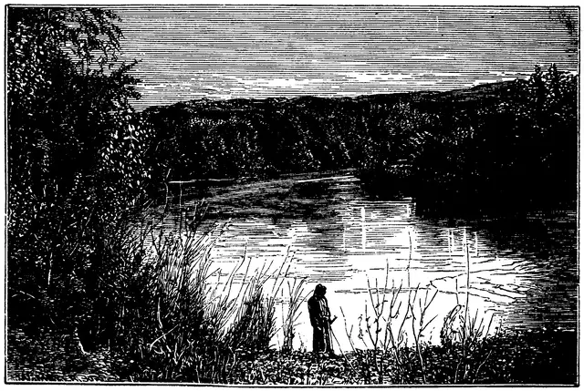 Illustration, sida 695
