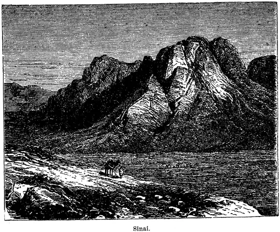 Illustration, sida 699