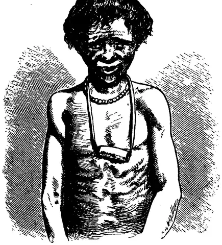 Illustration, sida 711