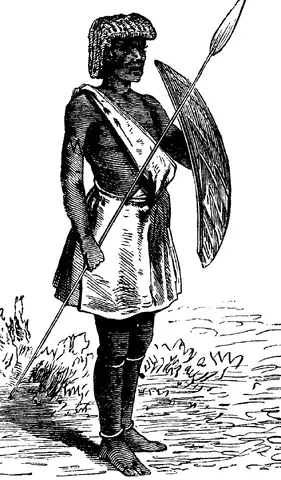 Illustration, sida 717