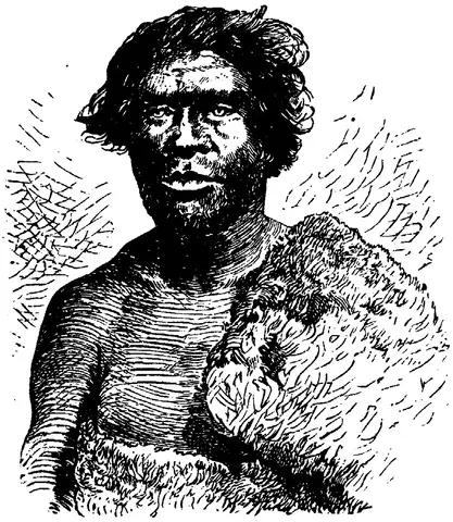 Illustration, sida 744