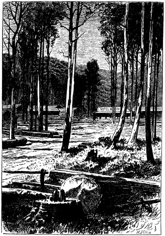 Illustration, sida 745