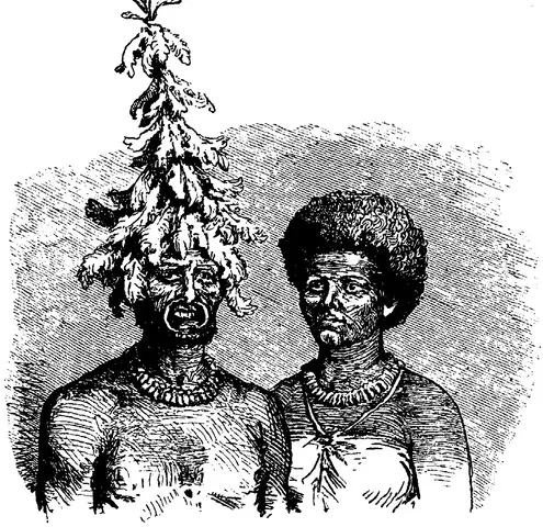 Illustration, sida 747