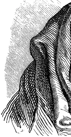Illustration, sida 848