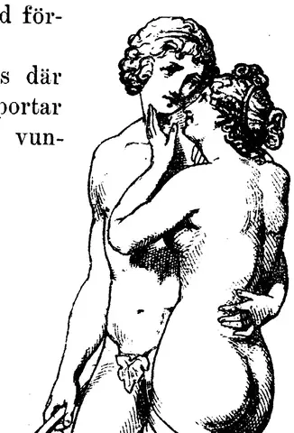 Illustration, sida 1129