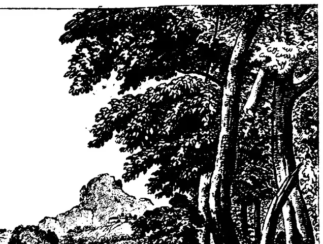 Illustration, sida 1157