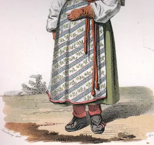 Illustration ur Ett år i Sverige (1864), sida 110
